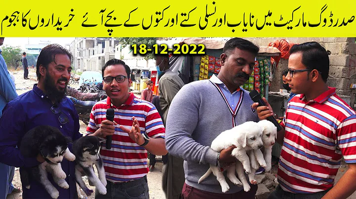 Saddar Dog Kutta Market 18-12-22, German Shepherd,...