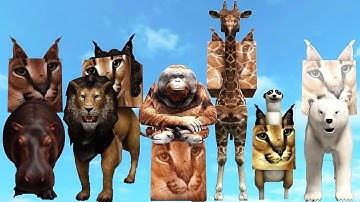 FIND the FLOPPA MORPHS *How to get ALL 6 NEW Floppa Morphs and Badges* PART 44! Roblox