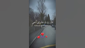 القآرئ أسلام صبحي ما تيسر من سورة طه #تلاوة_خاشعة #قران_كريم #quran #راحة_نفسية #quran_alkarim #قرآن