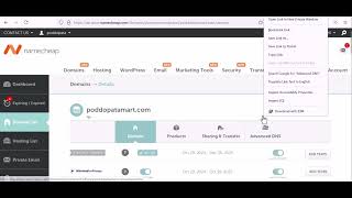 How to Set Up a Custom Domain for Tenants in SalePro SaaS | Step-by-Step Guide