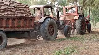 Rosie tractor ? trolley Sheila key Lord belarus tractor power 2022