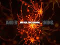 Neuromorphic Computing: The Brain-Inspired Next-Gen Processors