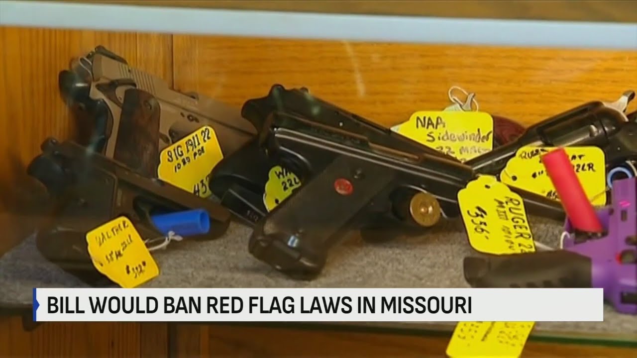 Missouri lawmaker introduces bill to prohibit red flag gun laws - YouTube