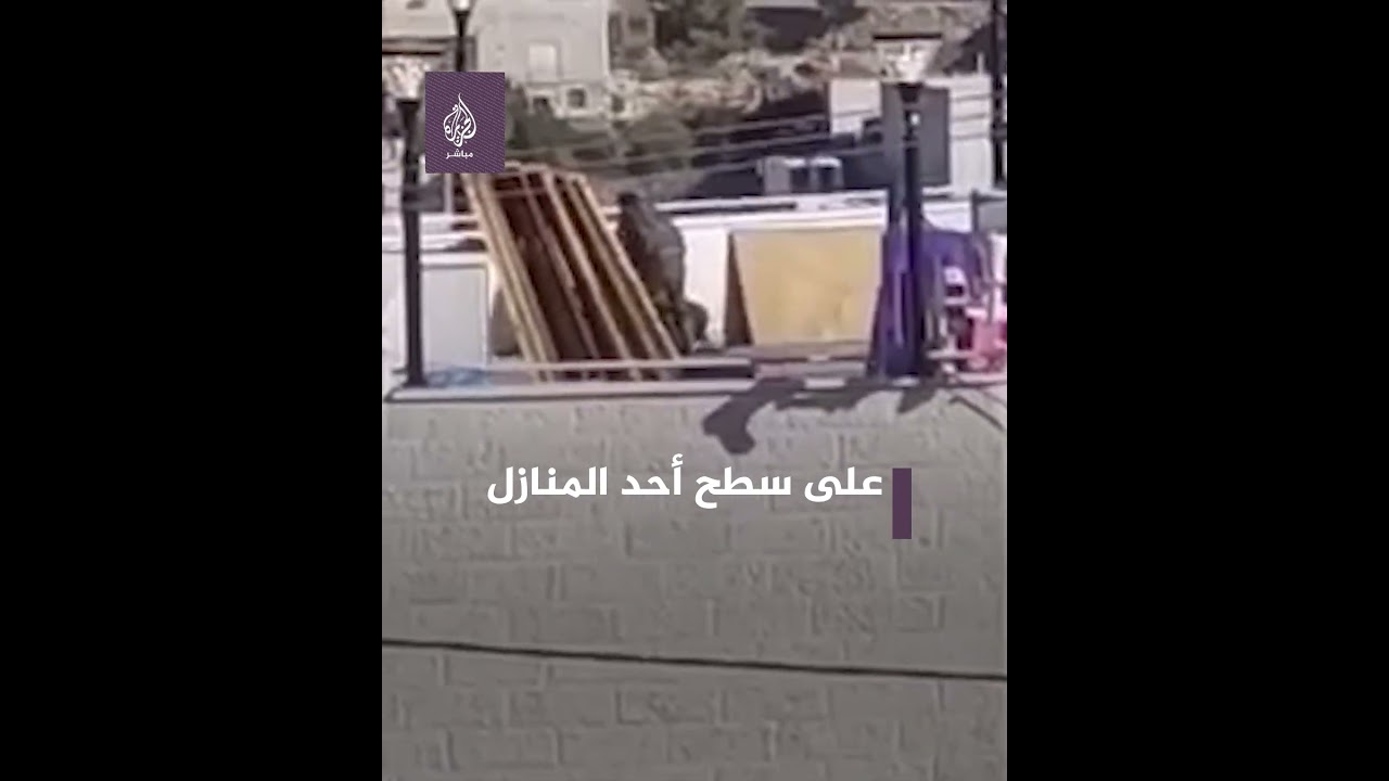 شجار بالأيدي بين جنود الاحتلال الإسرائيلي على سطح أحد المنازل في مدينة الخليل