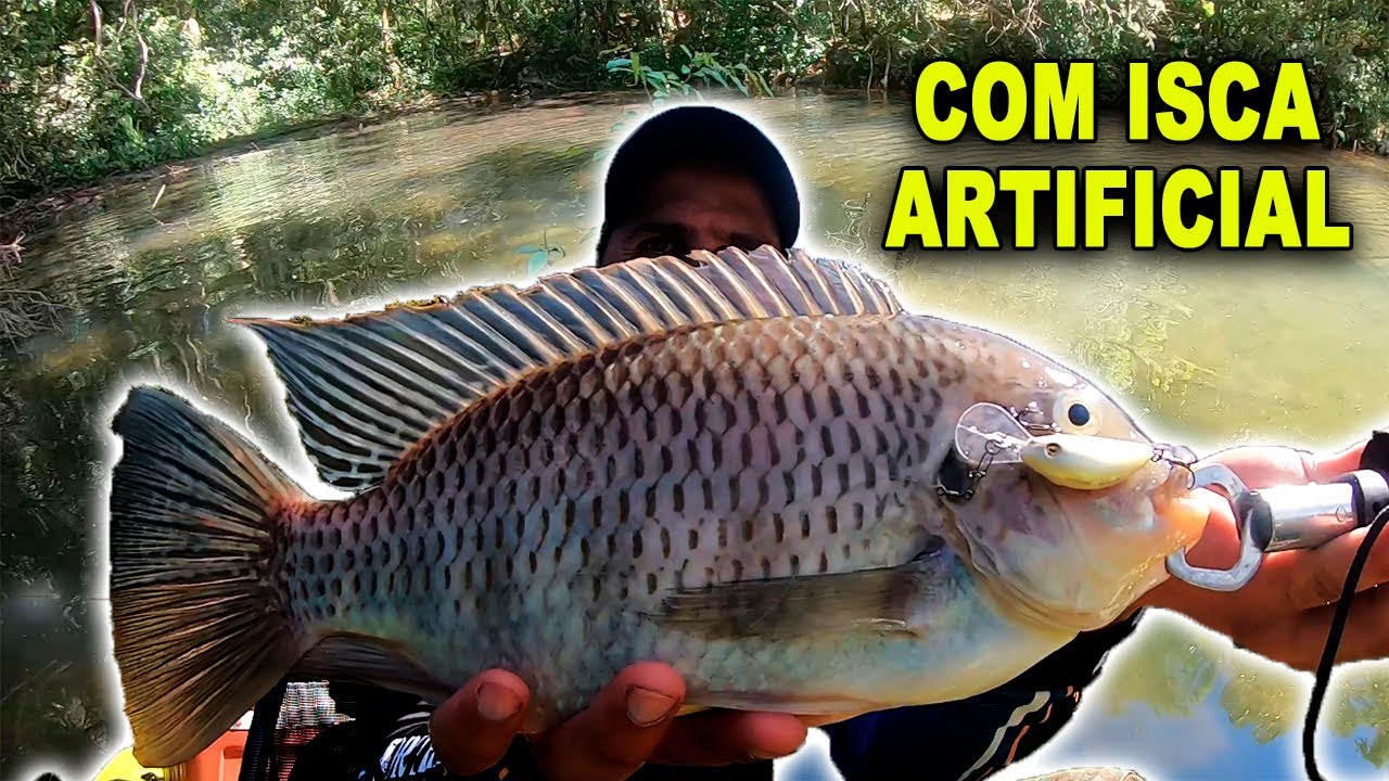 Pescaria de TILAPIA com ISCA ARTIFICAL e Equipamento ULTRALIGHT na ...