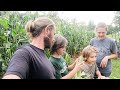 More Than We Thought || First Corn Harvest