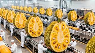 Inside a High-Tech Jackfruit Chips Factory USA | From Fresh Jackfruit to Crispy Snacks Full Process
