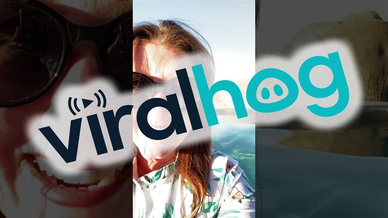 Elephant Drinks From Woman's Pool || ViralHog