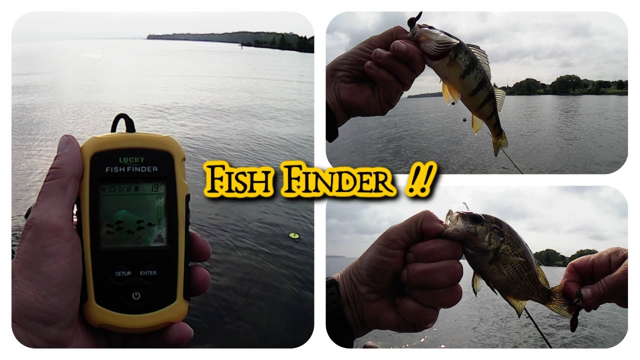 Lucky Fish Finder - It Works. Well, it helps 
