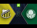 Novorizontino x Palmeiras - AO VIVO - 23/01/2022 - Paulistão