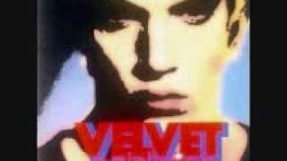 The whole shebang - Velvet Goldmine chords