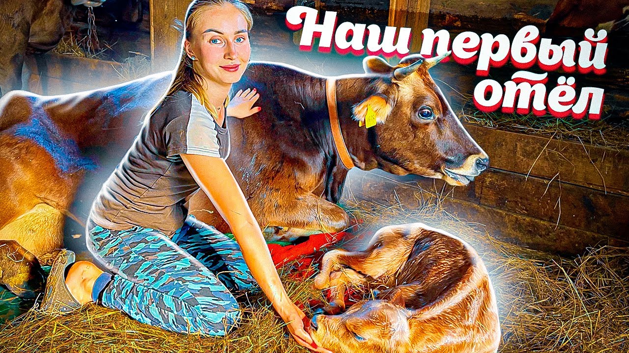 Молодая ферма дзен последнее