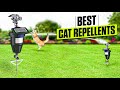 3 BEST Cat Repellents - Don’t Wait Until They Tear Everything Up!