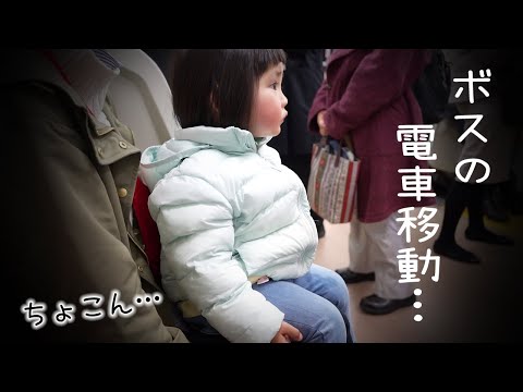 ちょこんと電車に乗って…〆のラーメンが胃に染みるようになったうちのボスがこちら。🍜🍥　Finish off the evening with ramen
