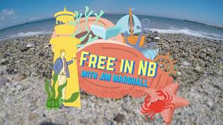 FREE IN NB 23RD MAY