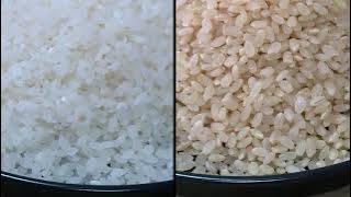 Kepoin Teknologi Pertanian Beras Jepang | SI UNYIL (06/05/21)