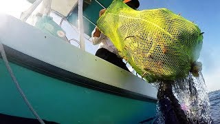 Lobster Diving with a Scooter  Palm Beach - Aug 2018