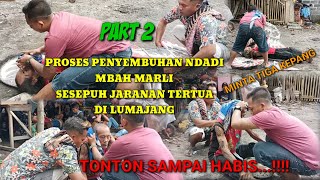 PROSES PENYEMBUHAN NDADI SESEPUH JARANAN TERTUA MINTA 3 KEPANG
