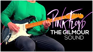 The Gilmour Sound: Preset Settings For Helix & Hx Stomp Pink Floyd