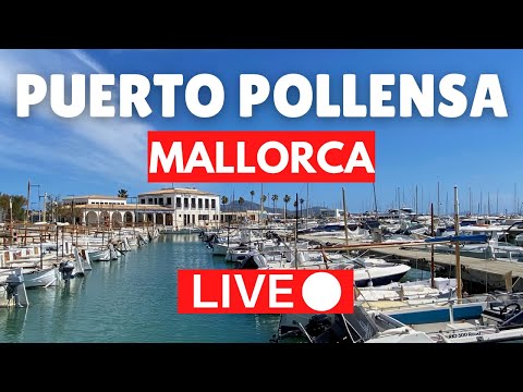 ? LIVE Puerto Pollensa Mallorca (Majorca) | 25 June 2022