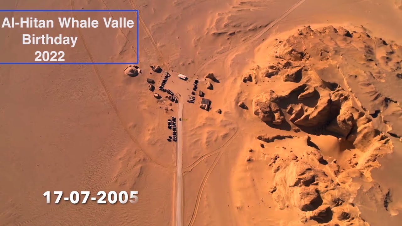 Wadi Al-Hitan Whale Valle in Fayoum Egypt