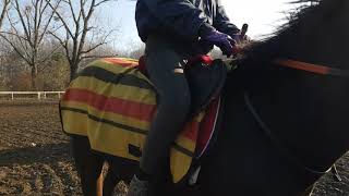 20181213 100919