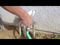 Watering Your New Swimming Pool Shotcrete or Gunite Installation - Swan Pools