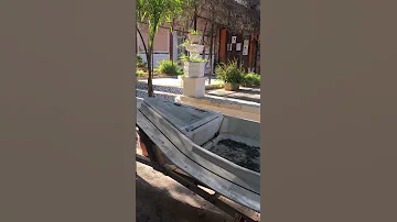 قارب النجاة 