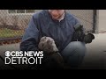 Furry Friday: Meet Bepop the dog and Pinto the cat