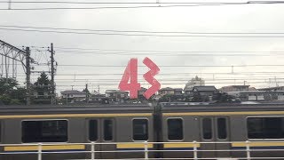 43