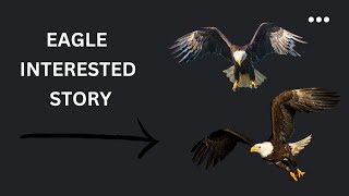 Eagle interested story | Golden Wings: An Eagle's Epic Tale of Adventure and Compassion