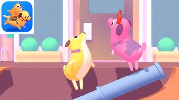 Animal Games🥈Gameplay Level 1-20 (iOS, Android) Made with Unity