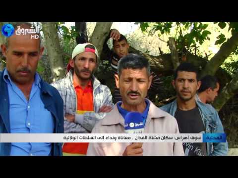 سوق أهراس سكان مشتة الفدان معاناة ونداء إلى السلطات الولائية 