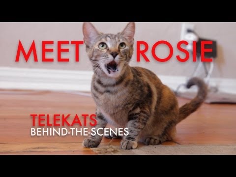 Telekats: Behind the Scenes - Meet Rosie