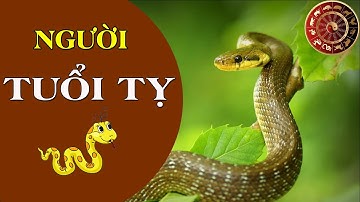 Cuộc Đời Và Tính Cách Người Tuổi Tỵ | Ngẫm Để Sống