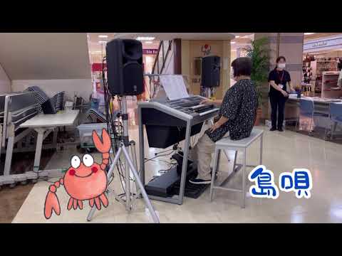 島唄／THE BOOM  【ストリートエレクトーン編】