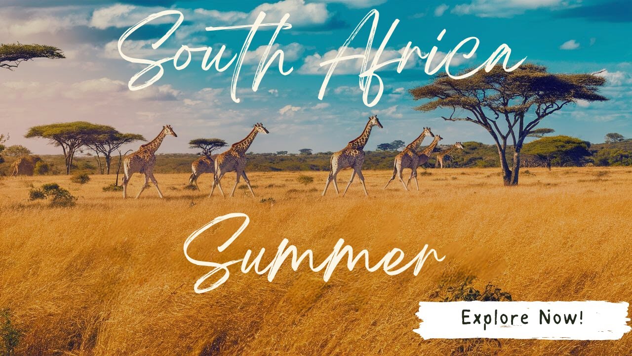 Explore Top 12 Must-Visit Places in South Africa During Summer! - Travel Guide