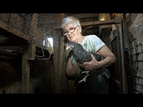 Курятник в центре города!#ЛюдиДела(67)