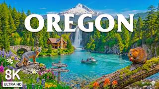 Oregon 8K -  Crater Lake, Roosevelt Elk & Wild Pacific Northwest Beauty in America