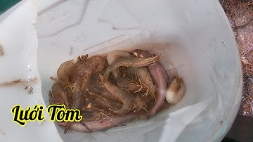 NGHỀ LƯỚI TÔM - Trời Sóng, Kéo Lưới Trúng Mánh Tôm Thẻ |Câu Mực Biển Tây #186