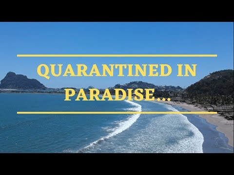 Quarantined in Paradise...