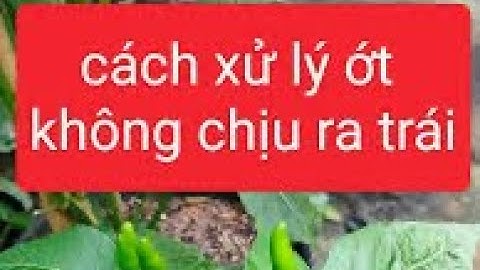 🔥 Cây Ớt Không Ra Hoa Ra Quả? Mẹo Dân Gian Giúp Trái Sai Trĩu Cây | Mẹo Trồng Cây, Chăm Sóc Cây