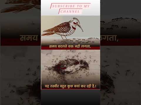 #motivation_video_🚩🕉🚩