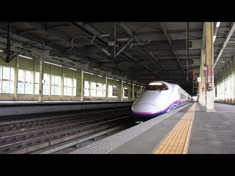 《上越新幹線》上毛高原駅 各駅停車￼たにがわ とき E7系に追い抜かれる