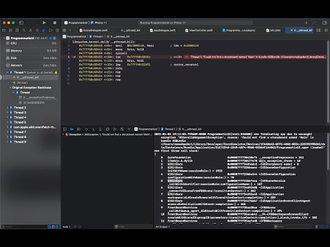 Troubleshooting - Terminating app due to uncaught exception - Xcode 12