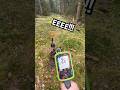 Нашёл монету! #shortvideo #клад #монеты #золото #сокровище #поиск #находка #деньги #short #топ #top