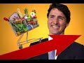 LILLEY UNLEASHED: Watch as elite Trudeau has no idea what groceries, gas cost