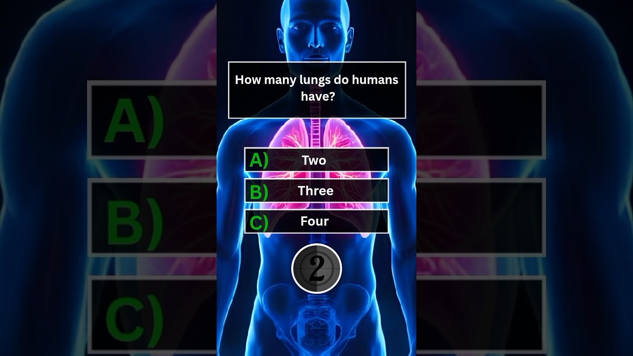 🫁 Lungs Quiz Challenge | Can You Get All Right?