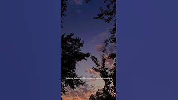 Thumbnail of nadaniya #lyrics #music #cover #artist #shortvideo #love #enjoythenatureoftheworld #subscribe