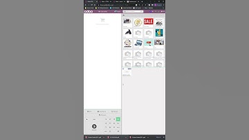 Odoo POS error   need counted cash to be uneditable